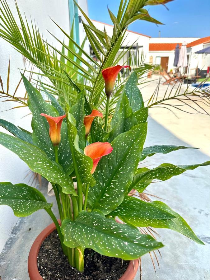Alojamiento El Miajon De Los Castuos Valdesalor Extérieur photo